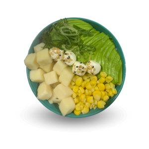 Chirashi Vegetariano